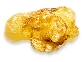 Boswellia