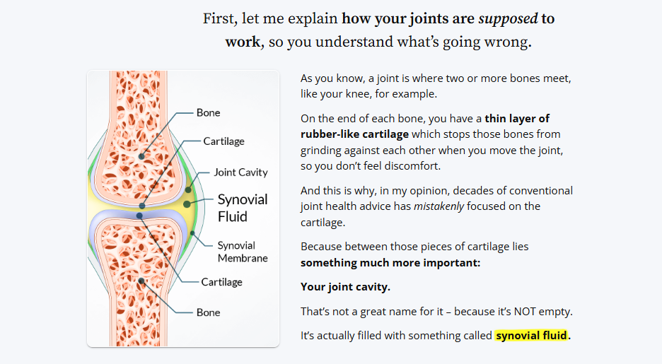 Joint Genesis